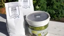 Як заробити на кави, Новини виробництва продуктів, харчування, торгівлі новини