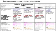 канвіти