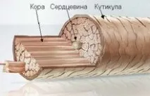 допомогою