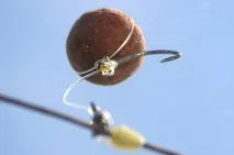Кевін Неш про коропове оснащення - CarpFishing Media Кевін