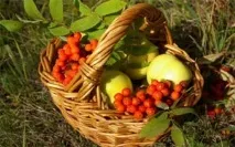Лікування щитовидної залози у жінок народними засобами жінок