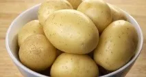 Кращі сорти картоплі для Уралу кращі