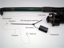 Лов на фідер фідер
