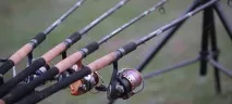 Ловля ляща на фідер навесні та влітку - оснастка, наживки, відео, FishingSib навесні