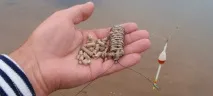 Ловля ляща на фідер навесні та влітку - оснастка, наживки, відео, FishingSib влітку