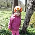 Майстер-клас з виготовлення лебедів із шишок з використанням синельного дроту. лебедів