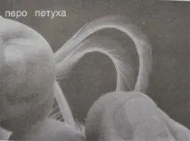 Матеріал для рибальських мушок, Ловимо все матеріал