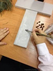 Майстер-клас Буква Т із природних матеріалів матеріали