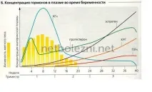 Дрібні червоні крапки на тілі як родимки, причини появи червоні