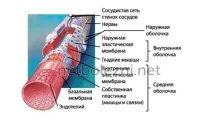 Дрібні червоні крапки на тілі як родимки, причини появи червоні