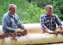 Міжвінцевий утеплювач для лазні міжвінцевий