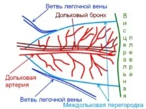 компютърна