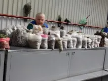 Чи можна в Мінську заробити на дикорослих лікарських травах травах