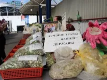 Чи можна в Мінську заробити на дикорослих лікарських травах можна