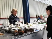 Чи можна в Мінську заробити на дикорослих лікарських травах дикорослих