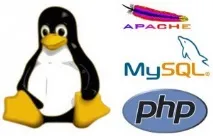 Налаштування сервера LAMP на Gentoo, NetConfig сервера