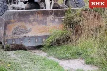 Наркополіцейські знищили під Сиктивкаром галюциногенні гриби « БНК наркополіцейські
