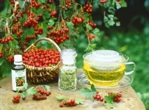 Настойка глоду - користь та шкода, як зробити на горілці шкода