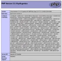 Налаштування сервера LAMP на Gentoo, NetConfig сервера