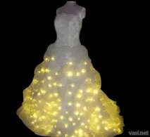 васині