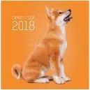 Новорічні вироби 2018 Собаки своїми руками своїми