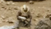 Новини дня Шокуючі фото з Марса підтверджують, що замарсоходом Curiosity стежать інопланетяни новини
