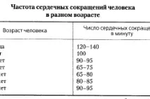 Нормальний пульс у дорослої людини пульс