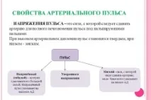 Нормальний пульс у дорослої людини пульс