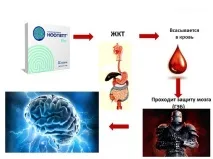 Ноопепт, CleverMindRu ноопепт