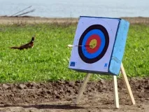 Навчання стрільбі з блочного лука, як навчитися стріляти з блочного лука, уроки стрільби з лука