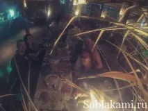 кардинал