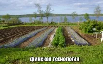 технология