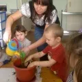 Досвід «Як вода живить рослина» вода