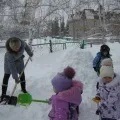Досвід «Як вода живить рослина» вода