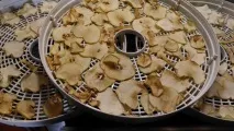 Досвід користування електросушаркою для овочів та фруктів досвід