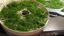 Досвід користування електросушаркою для овочів та фруктів овочів