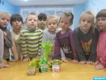Досвід «Як вода живить рослина» живить