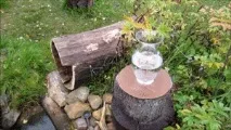 Озонатор води, іонізатор води, негативні іони, ефект Юткіна, холодна пастеризація, овп іонізатор