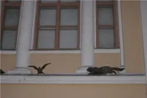 Пам’ятники кішкамДжерело Гарного Настрою настрою