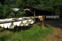 Від сокудо матраца гівеї