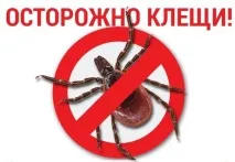 Пам’ятка з профілактики сальмонельозу! Кунгурська лікарня сальмонельозу