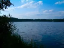 Озеро Покровське (Цегляне) в Ленінградській області ленінградській