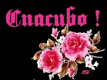 серце