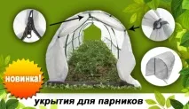парник