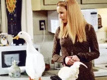 Phoebe Buffay (Фібі Буффе), Блогер infinito на сайті 24 лютого 2014, СПЛІТНИК buffay