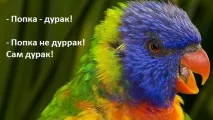 Чому я така дурниця (чоловікам теж читати!), смугасте життя чоловікам