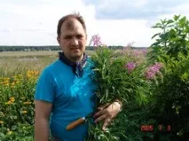 трави