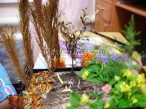 Виріб з природних матеріалів дерев