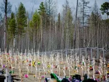 Покровський цвинтар, Кодинська адреса, як доїхати адреса