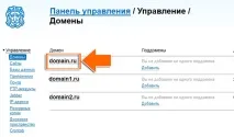 Прив’язка домену та піддомена в панелі домену